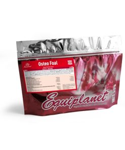 OSTEO FOAL - Mangime complementare in polvere per fattrici e puledri 1Kg