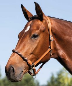 CAVEZZA ACAVALLO IN PELLE ANATOMICA CON NASALINA IN CORDA COGNAC