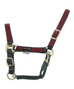 CAVEZZA IN NYLON CON RIPORTO COLORATO - Verde/Borgogna