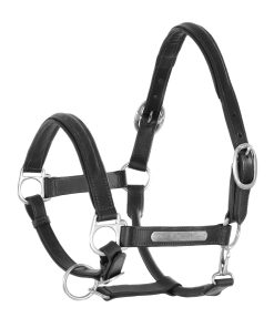 CAVEZZA CUOIO DOPPIATO FIBBIE OTTONE - Nero