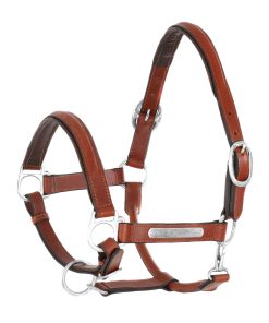 CAVEZZA CUOIO DOPPIATO FIBBIE OTTONE - Cognac