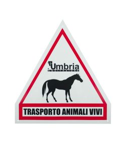 CARTELLO TRASPORTO CAVALLI UMBRIA EQUITAZIONE