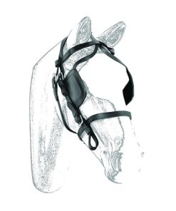 TESTIERA CALESSE IN CUOIO