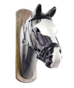 TESTIERA BITTLESS HORSEBALL C/REDINI