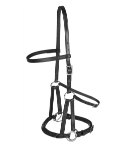 Linda Tellington Jones Lindel