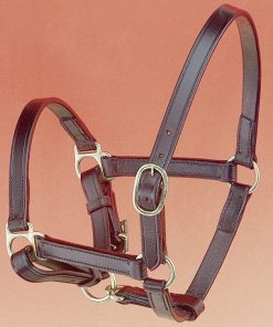 Cavezza puledro fibbie ottone - Foal