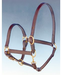 Cavezza in cuoio doppio con fibbie in ottone