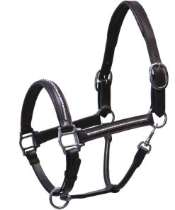 Cavezza Winner con clincher in ottone nichelato