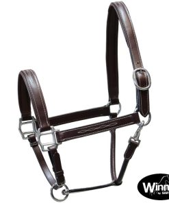 Cavezza Winner con ricami e fibbie in ottone cromato