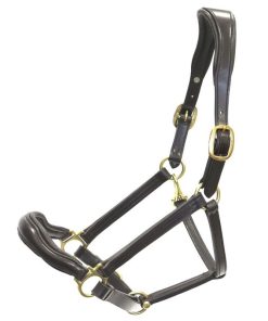 Cavezza Winner sagomata 19mm con fibbie in ottone lucido