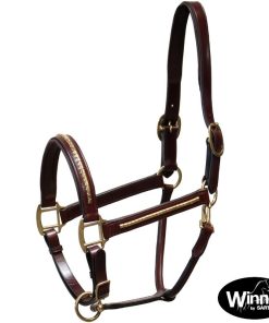 Cavezza Gold in cuoio italiano con clincher in ottone