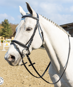 Briglia Winner special cuoio