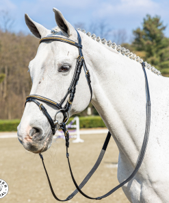 Briglia Winner special con clincher in ottone