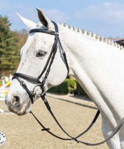 Briglia Winner special in cuoio