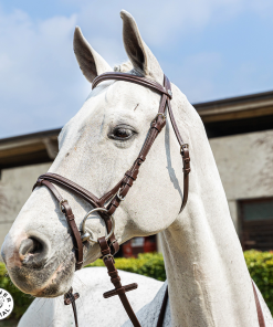 Briglia Winner special con ricami