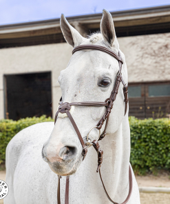 Briglia Winner special messicana