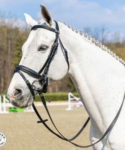 Briglia Winner special cuoio