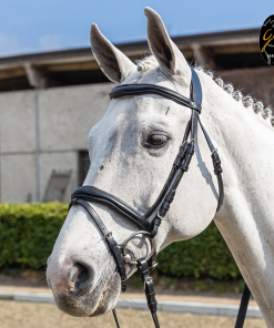 Briglia Gold in cuoio italiano