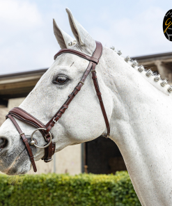 Briglia Gold in cuoio italiano