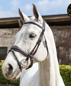 Briglia Gold in cuoio italiano