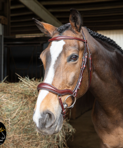 Briglia Gold in cuoio italiano