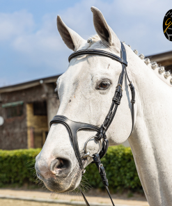 Briglia Gold in cuoio italiano