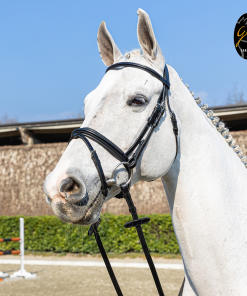 Briglia Gold in cuoio italiano