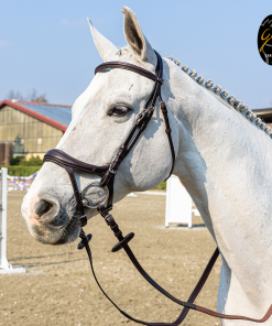 Briglia Gold in cuoio italiano