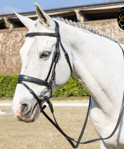 Briglia Gold in cuoio italiano