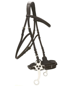 Briglia in cuoio con Hackamore