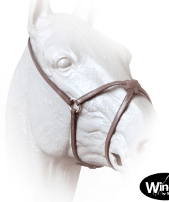 Cavezzina messicana Winner - Full