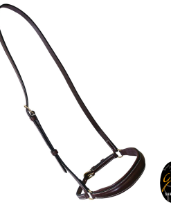 Cavezzina Hannoveriana - Full